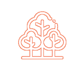 Trees Icon